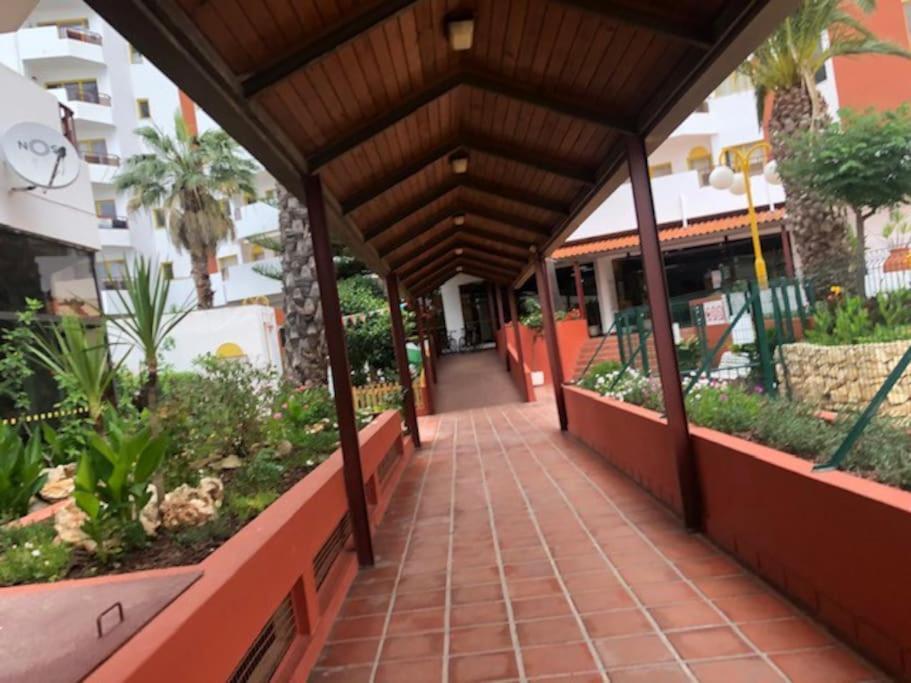 Praia Da Rocha - Charming Guest House 포티마오 외부 사진